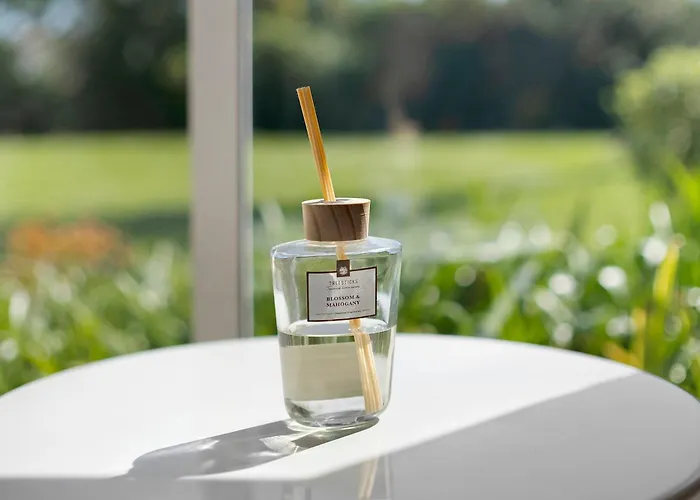 公寓 La Louisiane 2p Rdj Pool *